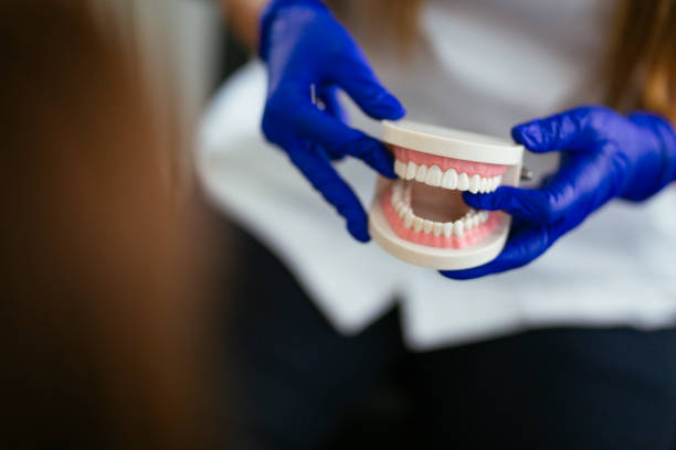 Reliable Hayneville, AL Holistic Dental Care Services Solutions